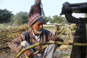 Legit Gambling Laws in Punjab: Complete 2026 Guide for Indian Players